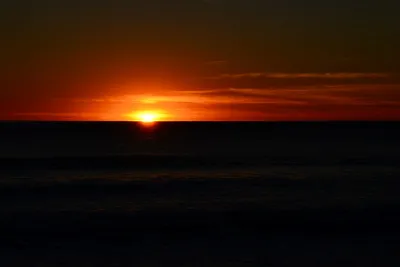 DSC_1297 (Large).JPG